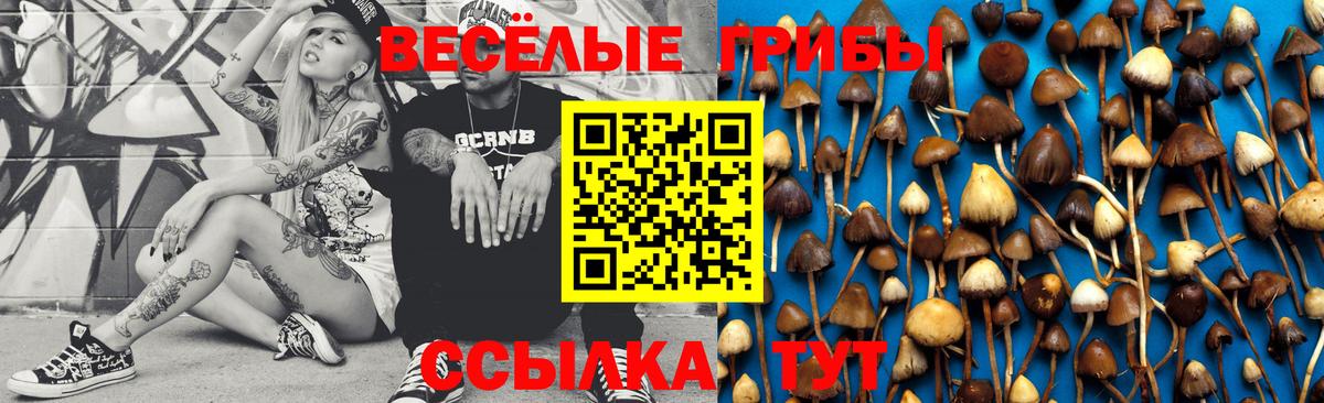 Псилоцибиновые грибы Cubensis  Вход с VPN  Гулькевичи 